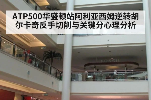 ATP500华盛顿站阿利亚西姆逆转胡尔卡奇反手切削与关键分心理分析