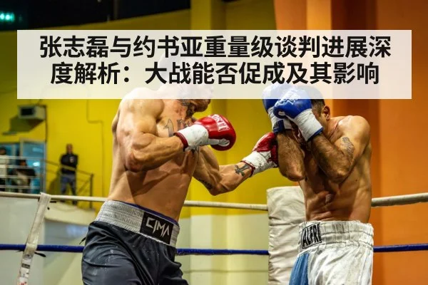 heavyweight boxing fight