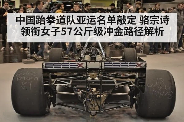 中国跆拳道队亚运名单敲定 骆宗诗领衔女子57公斤级冲金路径解析