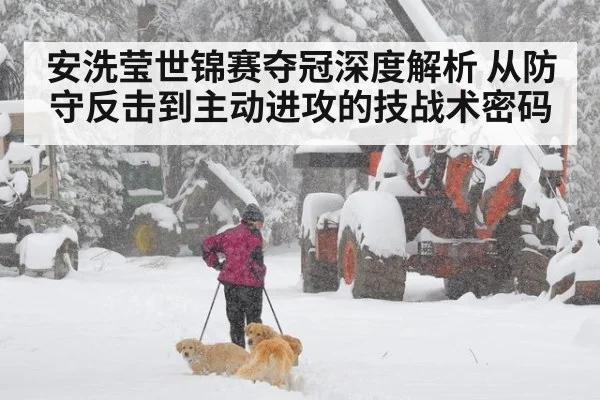 安洗莹世锦赛夺冠深度解析 从防守反击到主动进攻的技战术密码